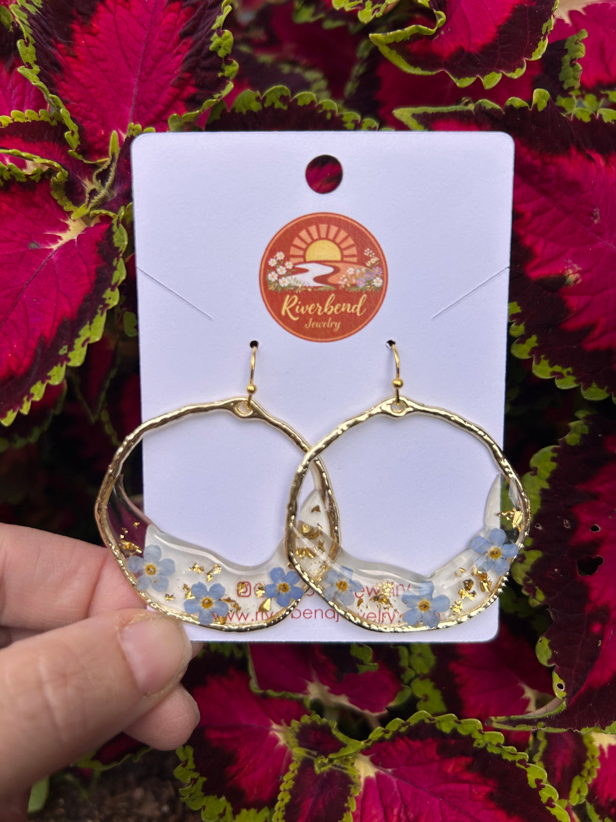 Pressed forget me, not Earrings