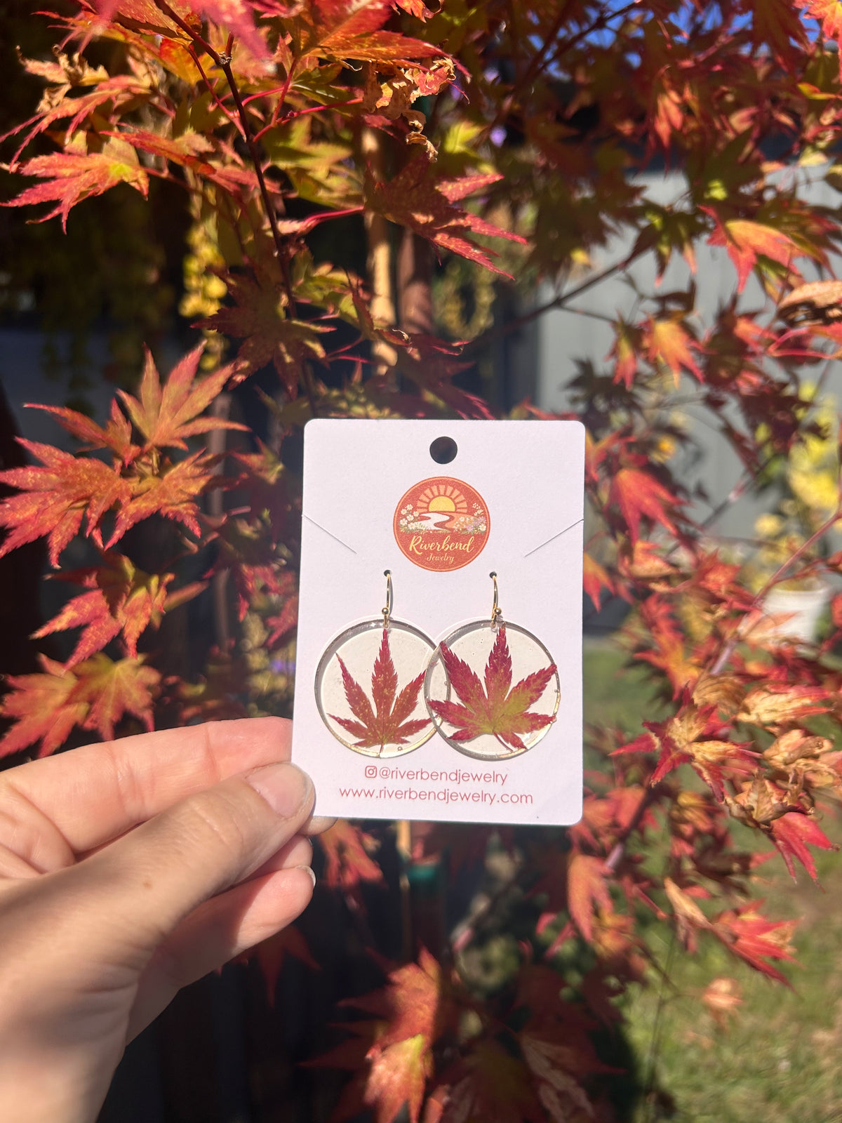 Pressed Japanese Maple Leaf Earrings