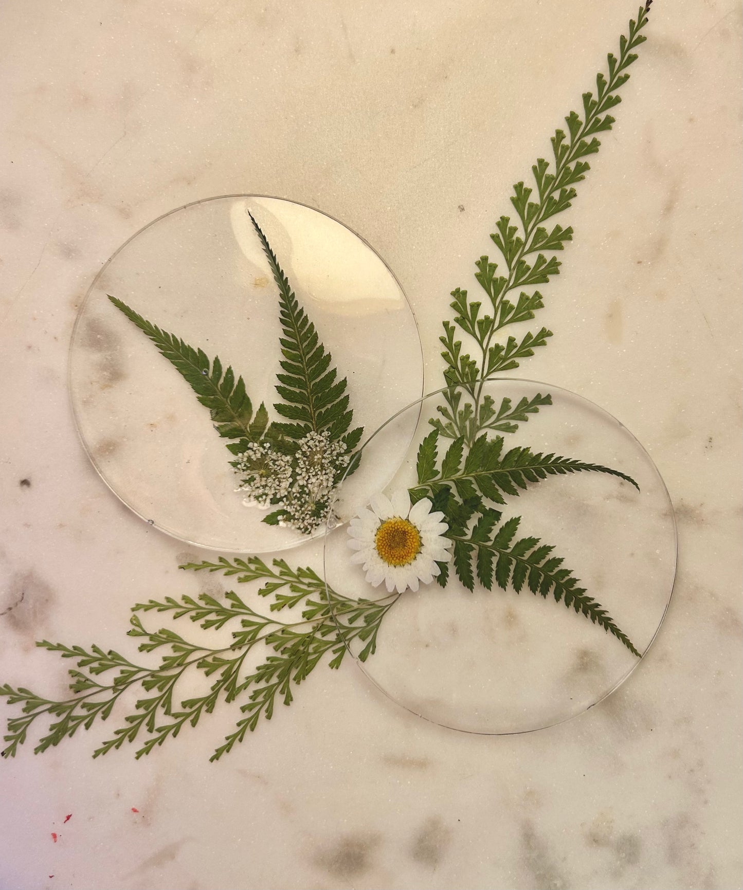 Coasters