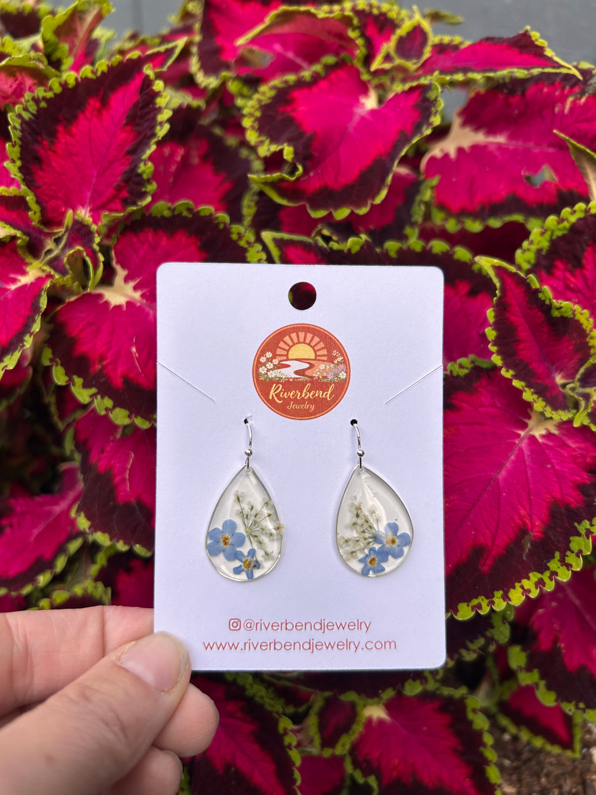 Pressed forget me, not Earrings