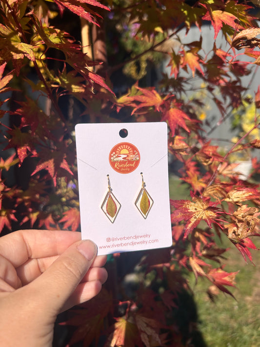 Pressed leaf Earrings