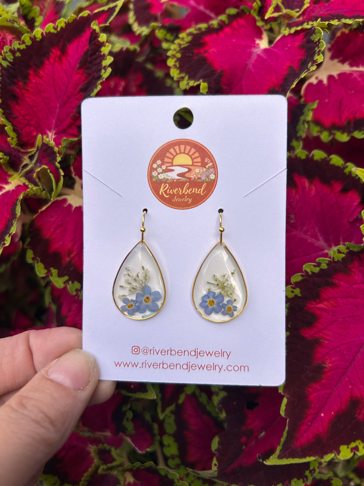 Pressed forget me, not Earrings