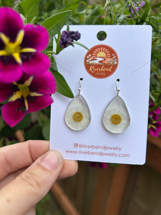 Pressed Wild Daisy Teardrop Earrings